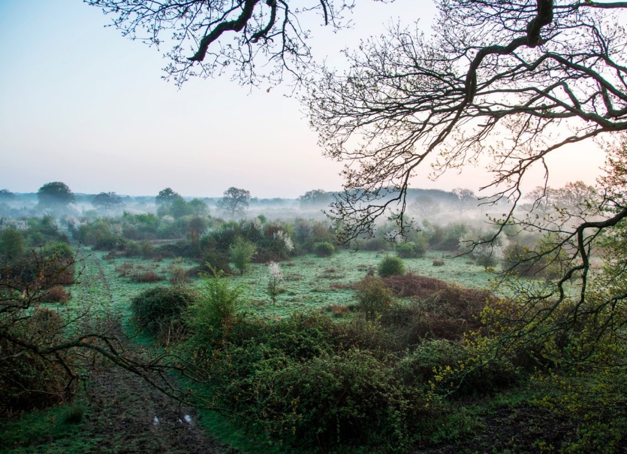 Workshops in Wild Places: England