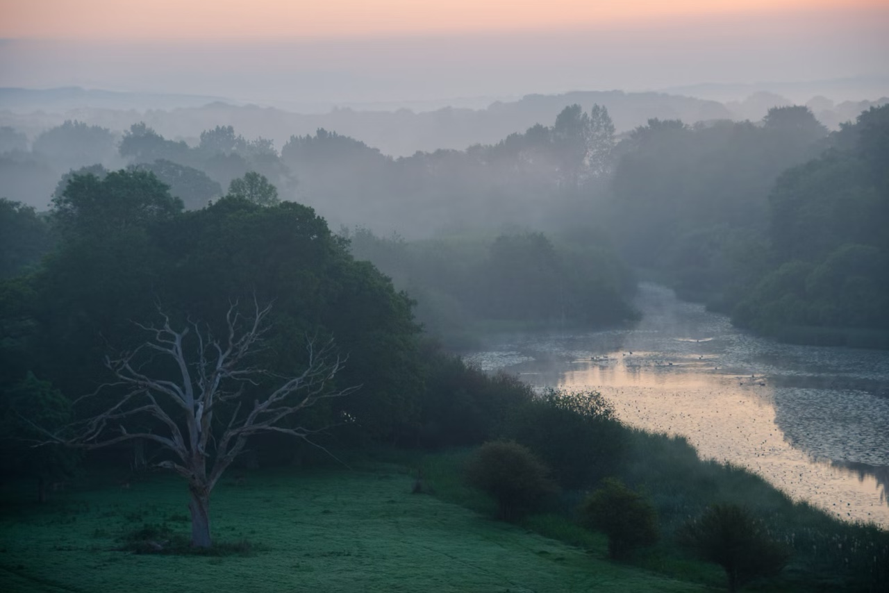 Workshops in Wild Places